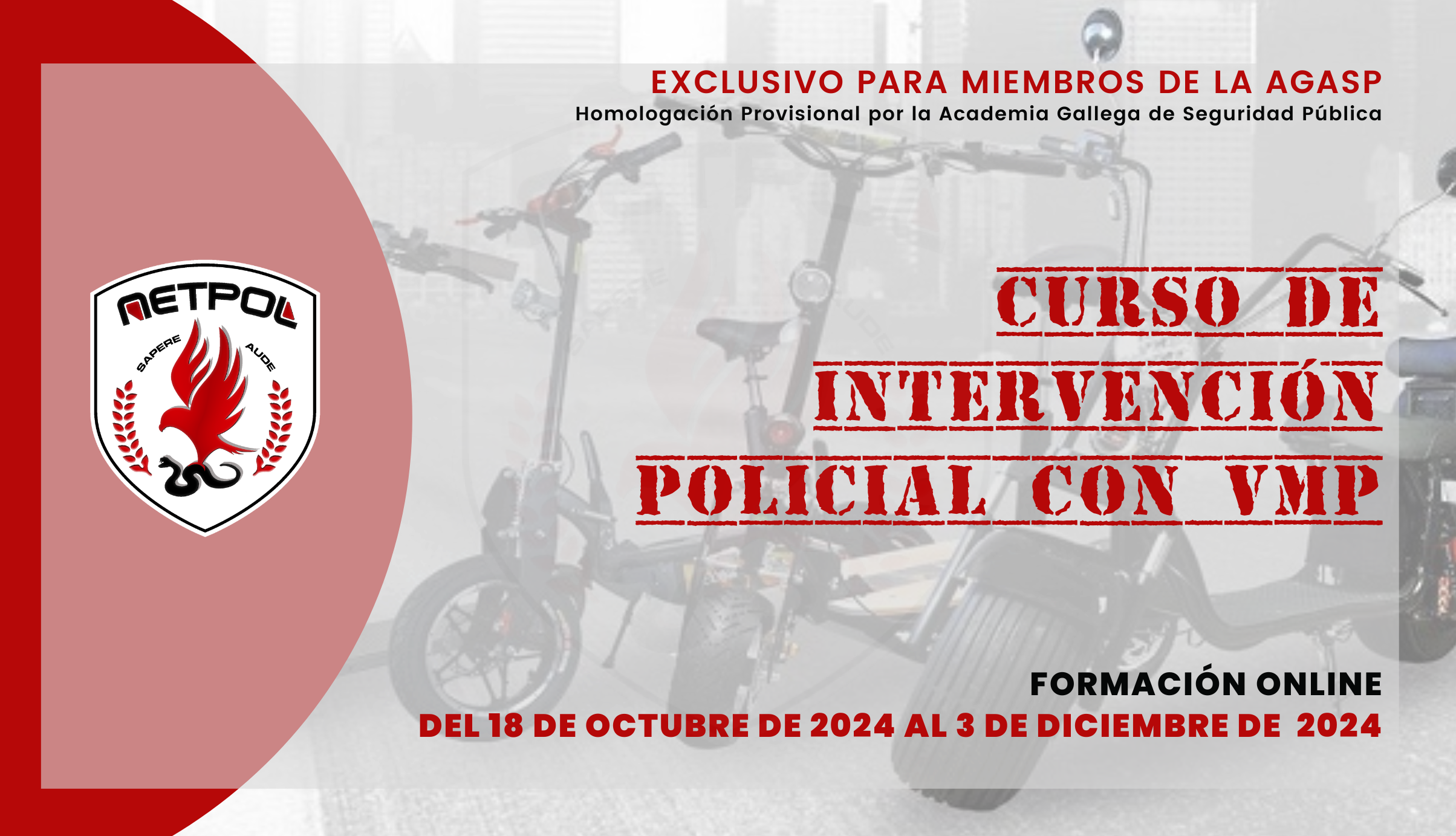 CURSO DE INTERVENCIÓN POLICIAL CON VMP.